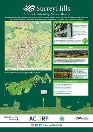 Wayfinding Poster Project for Surrey Hills